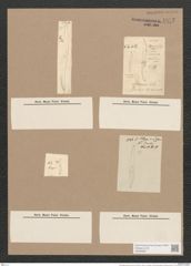 Pleurosigma obscurum W.Sm. (de-Toni-Nr.: Genus 13, Species 1043) Zeichnungen Sammlung Grunow Nr. 1875 (NHMW-BOT-W0368981)